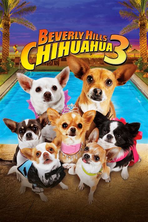 beverly hills chihuahua 3.